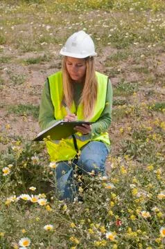Hispanic worker in hard-hat kneeling in field with clipboard Stock Photos