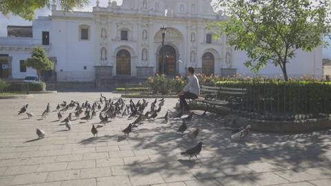 Hispanic young man sitting alone in the central park of Antigua Guatemala Stock Footage 147749020
