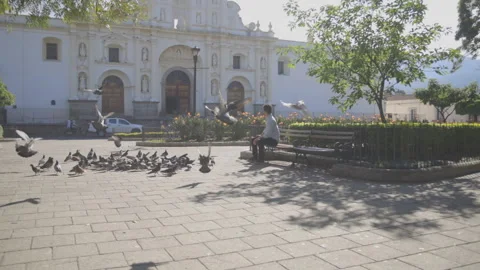 Hispanic young man sitting in the central park of Antigua Guatemala Stock Footage 147749531