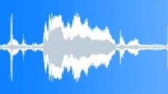 Hissing and growling of a strongly embittered Persian cat 2Sound Effect