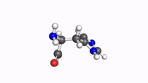 Histidine molecule, rotating model Stock Footage 79799676