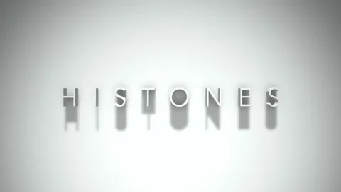 Histones 3D title animation with shadows on a white background Stock Footage 297385552