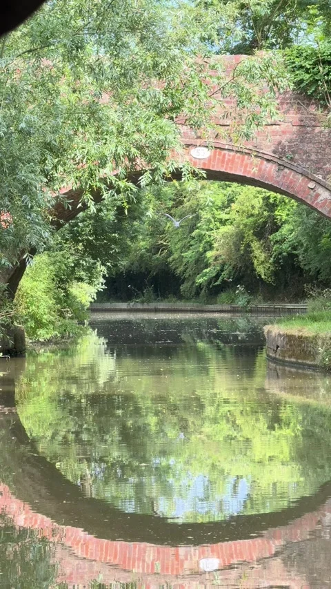 Historic brick arch bridge over tranquil canal Stock Footage 336581250