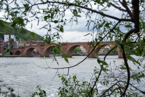 Historic bridge view framed by foliage 스톡 사진