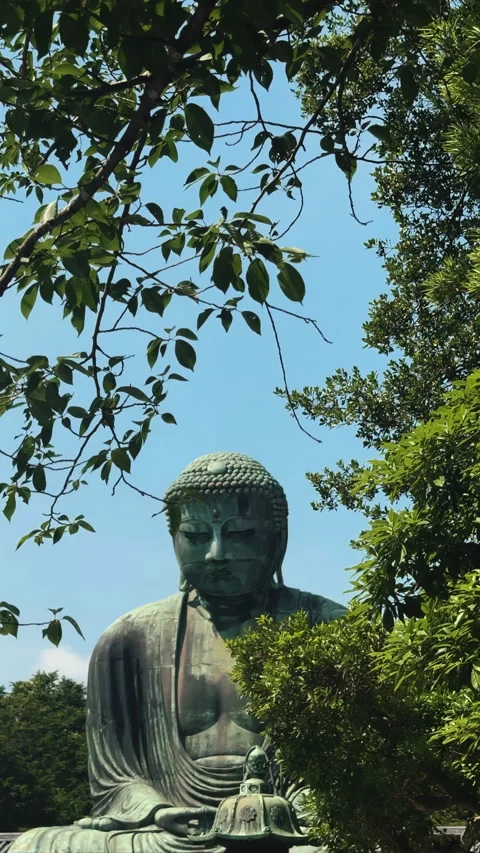Historic bronze Buddha statue framed by trees in Kamakura, Japan. Video stock 345169737
