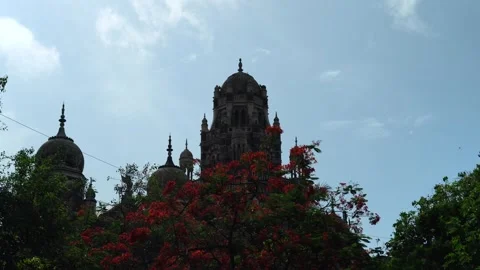 Historic Building Behind Flowering Tree in Mumbai Vídeo Stock 339085491