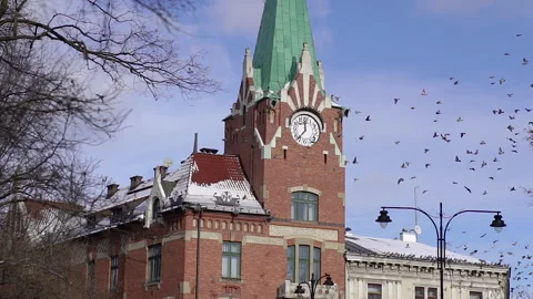 Historic building with tower and clock in cityscape with birds. Stock Footage 335500326