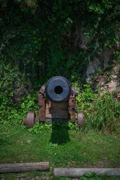 Historic Cannon Facing Forward Surrounded by Lush Green Foliage and Grass Foto stock