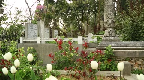 Historic cemeteries 3 Stock Footage 42564824