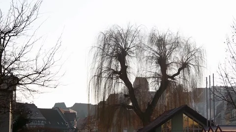 Historic city stadtroda in thuringia germany 4k 25fps video Stock Footage 327674642