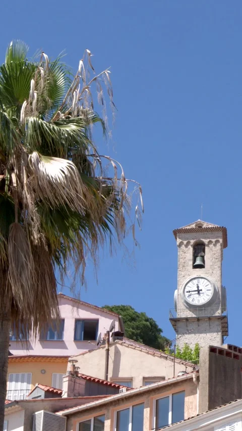 Historic Clock Tower and Palm Tree in Old Town Cannes France Stock Footage 335357955