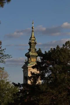 Historic clock tower rises above trees in serene park during golden hour ne.. Stock Photos