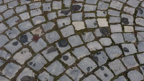 Historic cobblestones on the ground Stock-Footage 170194013