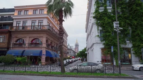 Historic colonial architecture with palm tree in Batumi city street Video stock 341852046