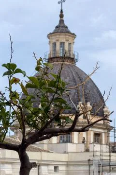 Historic dome through tree branches. Stock Photos