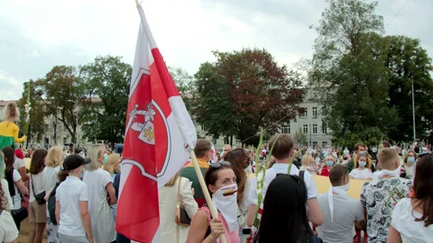 Historic flag of Belarus waving 動画素材 138086679