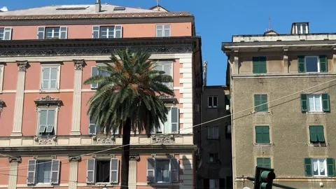 Historic Genoa Architecture With Palm Tree Under Clear Blue Sky Stock Footage 343660946