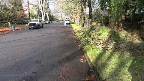 Historic Home Crushed by Massive Fallen Tree in Bomb Cyclone - Clip 43 Stock Footage 293179221
