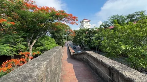 Historic Intramuros wall path with red fire trees and bell tower view 4K Vídeos de archivo 337457740