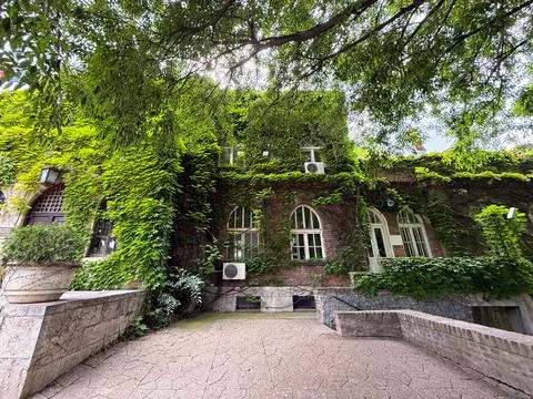 Historic ivy covered building with multiple windows and green surroundings... Stock Photos