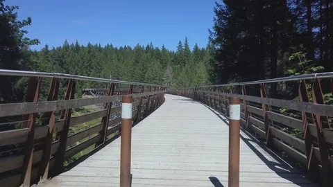 Historic Kinsol Trestle in sunny day, Vancouver Island. Stock Footage