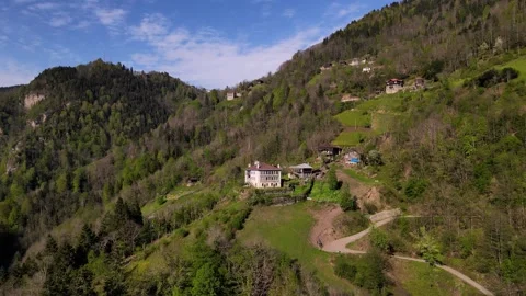 Historic Mansions in the Forest Vídeo Stock 335030697