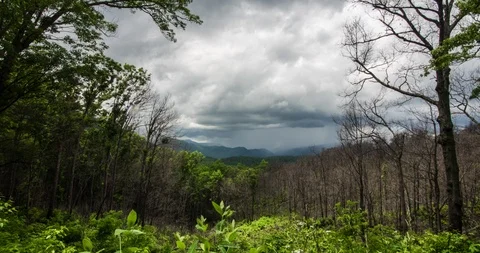 Historic Nature Trail - Roaring Fork Overlook - Storm Stock-Footage 98554560