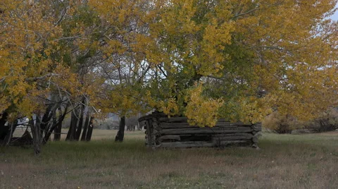 Historic old log cabin under autumn trees 4K 073 Stock Footage 45291340