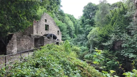 Historic Old Mill Building Surrounded by Woodland in Jesmond Dene, Newcastle Stock Footage 342156467