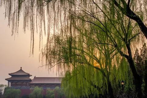 Historic pavilion behind willow branches at sunset Stock Photos