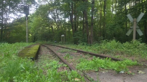 Historic Railway Tracks through the Forest at Amselgrund in Saxony, Germany Stock Footage 345255336