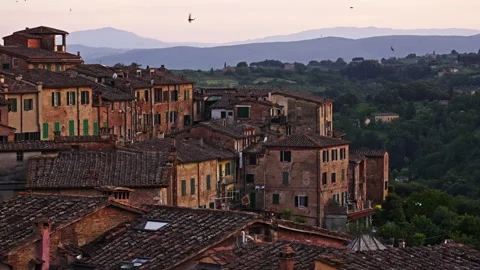 Historic Rooftops and Old Brick Buildings with Birds Over Verdant Hills Видео 256481375