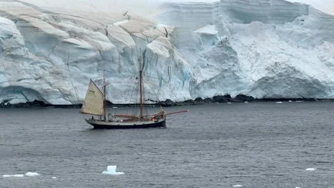 Historic Sailing Ship Tecla Passing a Massive Glacier in Antarctica Stock Footage 339433721