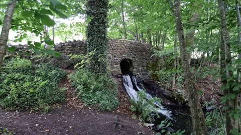 Historic Stone Arch Bridge with Waterfall in Forest Park, Aarhus, Denmark Stock Footage 335541179