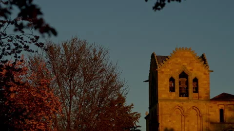 Historic stone bell tower architecture reaching sky with bare trees bathed .. Stock Footage 335639718