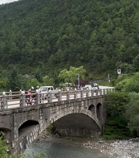 Historic Stone Bridge with Traffic and Forest Background Vídeos de archivo 340870652