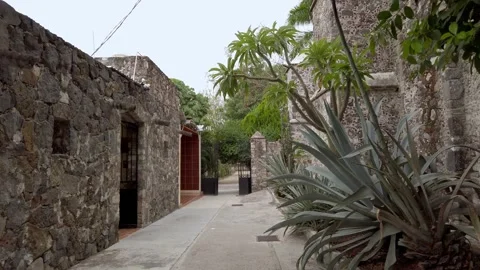 Historic Stone Courtyard Pathway with Agave Plants and Lush Trees in a Quiet Stock Footage 345384385
