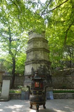 Historic stone stele standing beneath tall trees Stock Photos