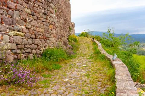 Historic Stone Wall, Cobblestone Path, Wildflowers in Molyvos, Greece 写真素材