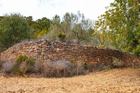 Historic Stone Wall Surrounded by Vegetation in a Rural Area During Dayligh.. Stock Photos