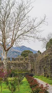 Historic stone wall with tree and pathway in a scenic landscape Stock Photos