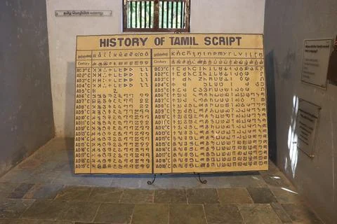 Historic Tamil Script Reference Chart Displayed Inside Heritage Museum Galler Stock Photos