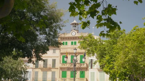 Historic town hall with clock tower and green shutters framed by trees Stock Footage 339417340