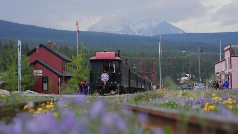 Historic train is arriving at the Carcross station, surrounded by wildflowers Stock Footage 339068657