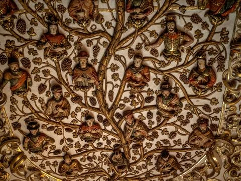 Historic tree of life Stock Photos