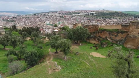 Historic Walls Overlooking the Dense Cityscape of Fez, Morocco Stock Footage 343939909