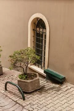 Historic Window and Tree Pot on Bereketzade Medresesi Street Foto stock