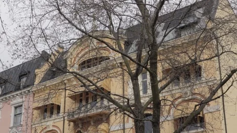 Historic Yellow Facade Behind Bare Tree Branches in Oslo Stock Footage 340960505