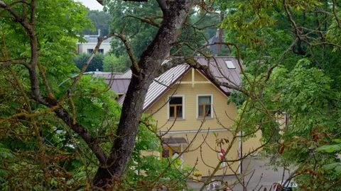Historic yellow timber building seen through dense tree leaves in Jurmala Stock Footage 342025760