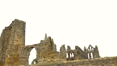 Historical Abbey ruins 스톡 동영상 217675876